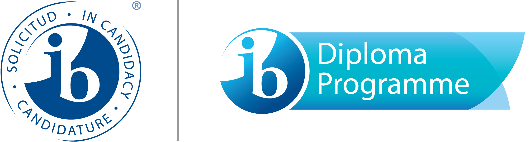 6803_ib-candidacy-dp-e2