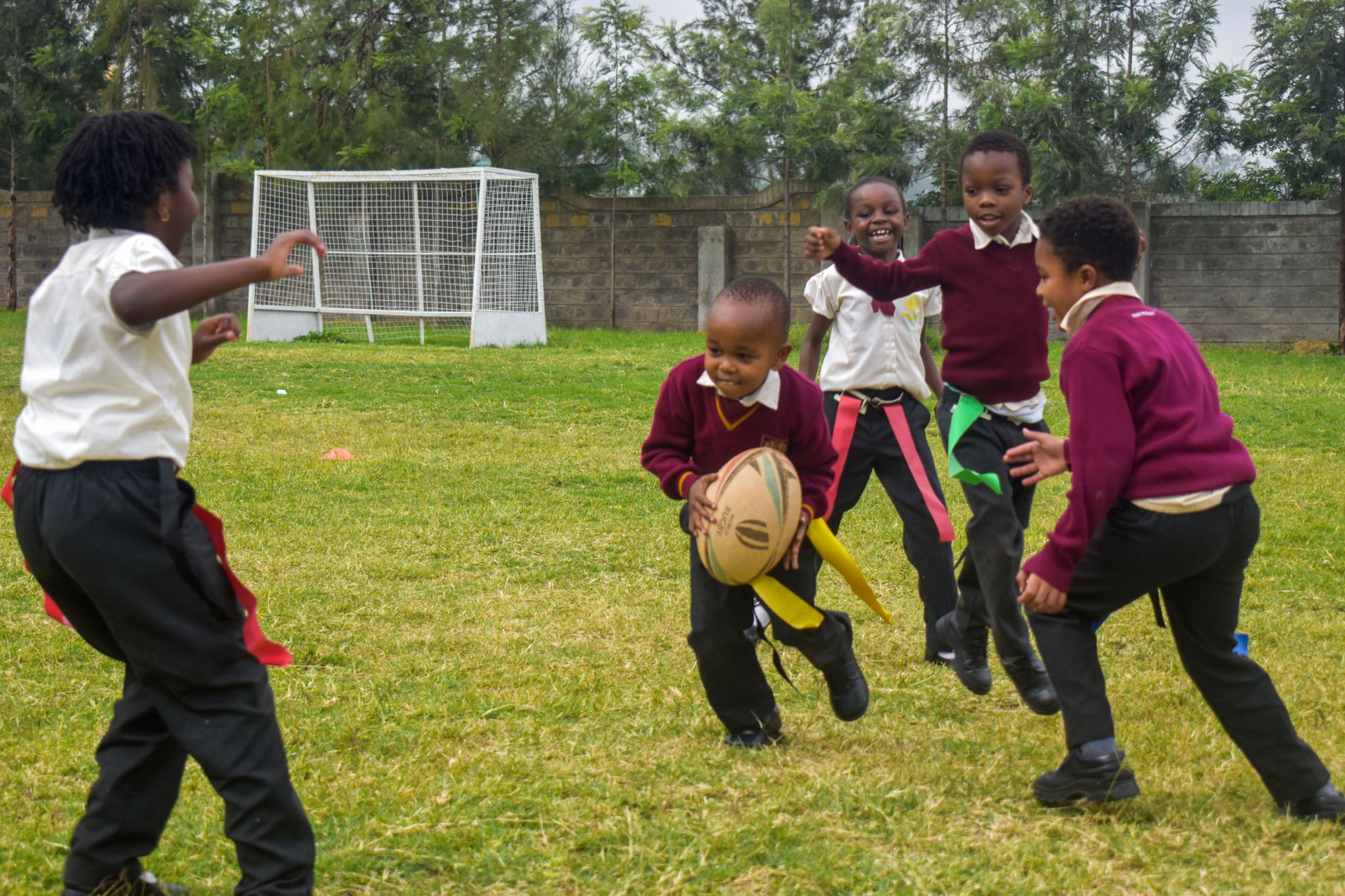 rugby